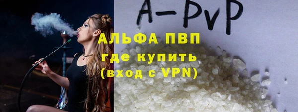 шишки Заволжье