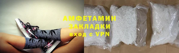 шишки Заволжье