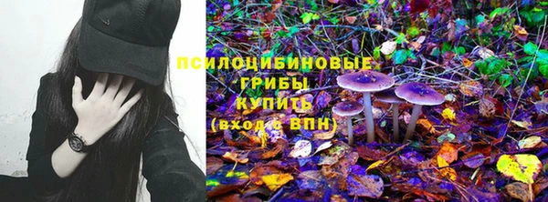 PSILOCYBIN Усолье-Сибирское