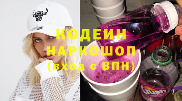 шишки Заволжье
