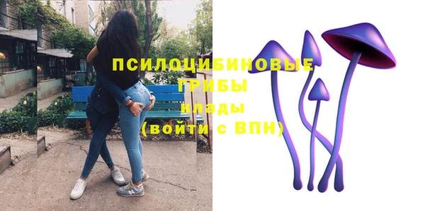 дживик Заволжск