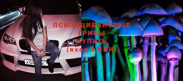 дживик Заволжск