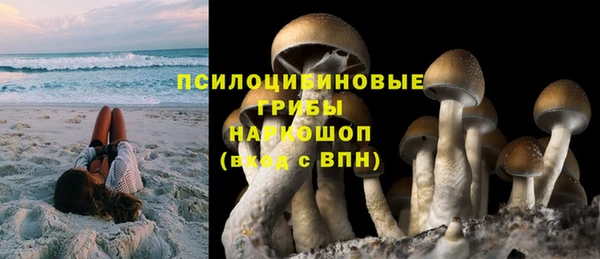дживик Заволжск