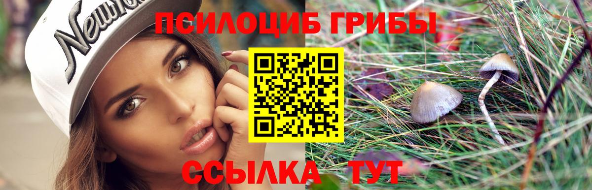 Псилоцибиновые грибы GOLDEN TEACHER  Вход с VPN  Псилоцибиновые грибы Cubensis  Сальск 