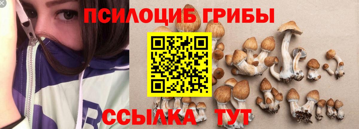 Галлюциногенные грибы MAGIC MUSHROOMS Сальск