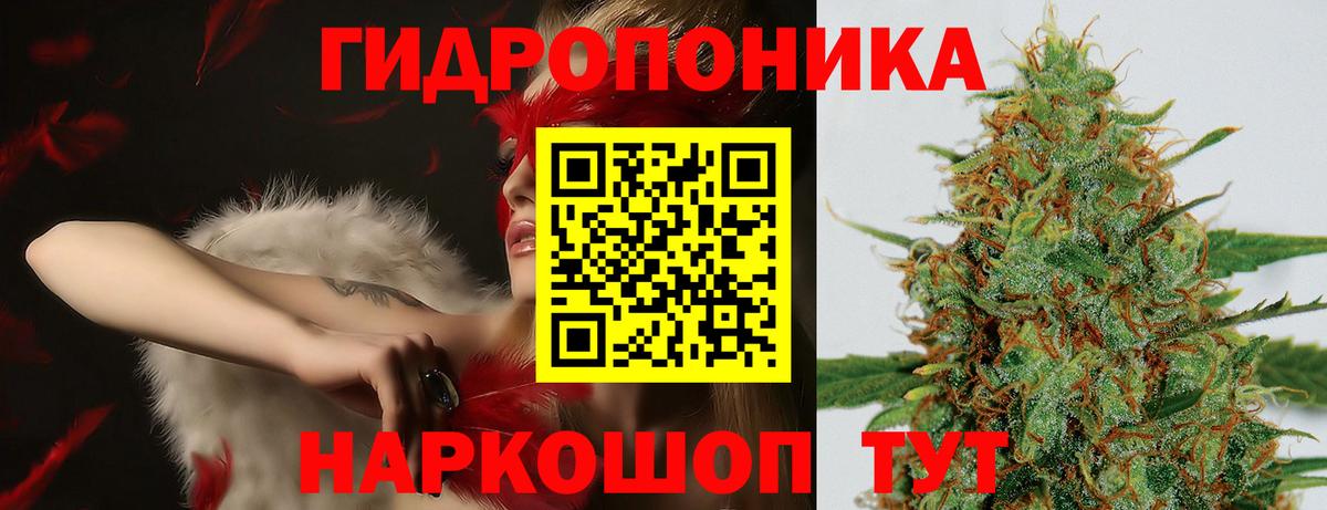 Лсд 25 Сальск